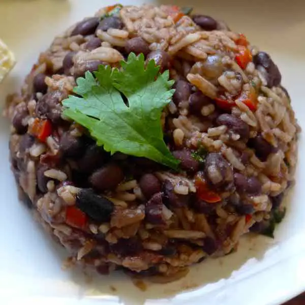 ¿Cómo se llama el arroz de color negro?