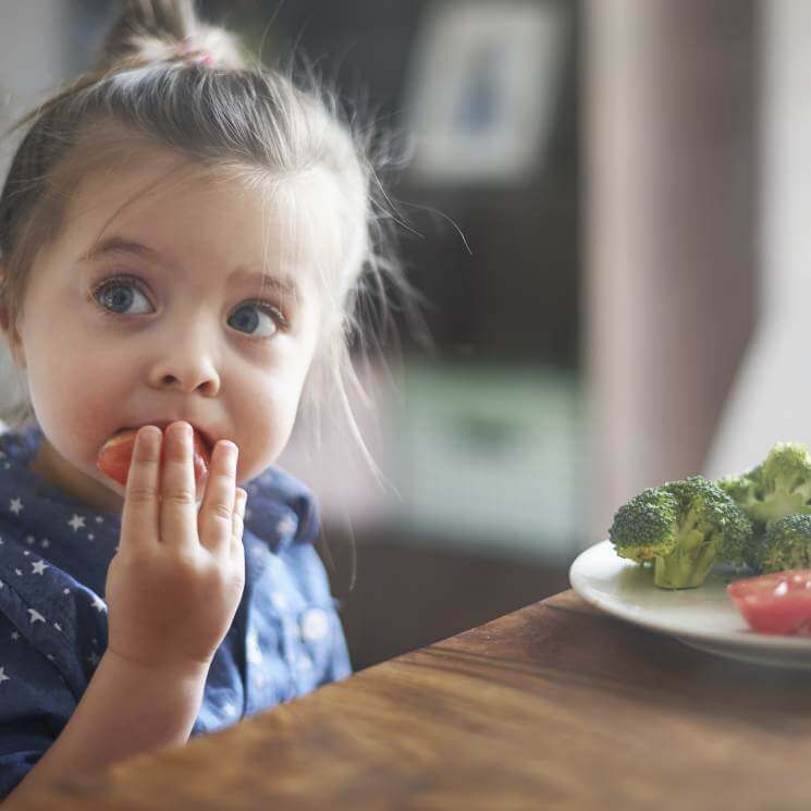 ¿Cuáles son los alimentos que no deben consumir los niños?