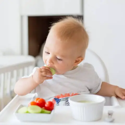 ¿Qué alimentos se le puede dar a un bebé de 1 año?