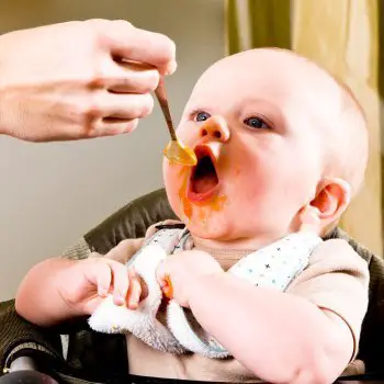 ¿Qué comida puede comer un bebé de 8 meses?