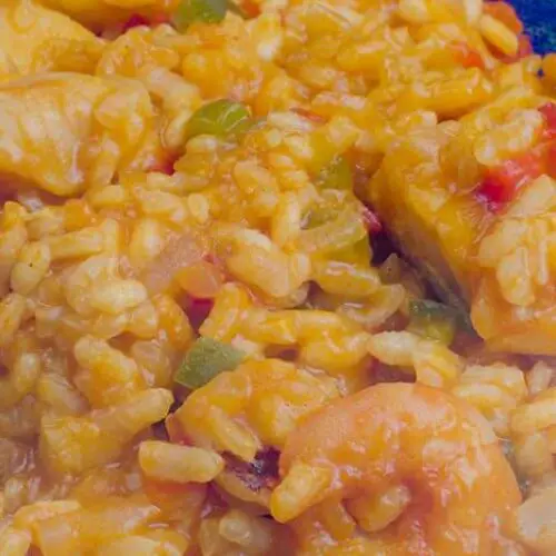 ¿Qué diferencia hay entre paella y arroz?