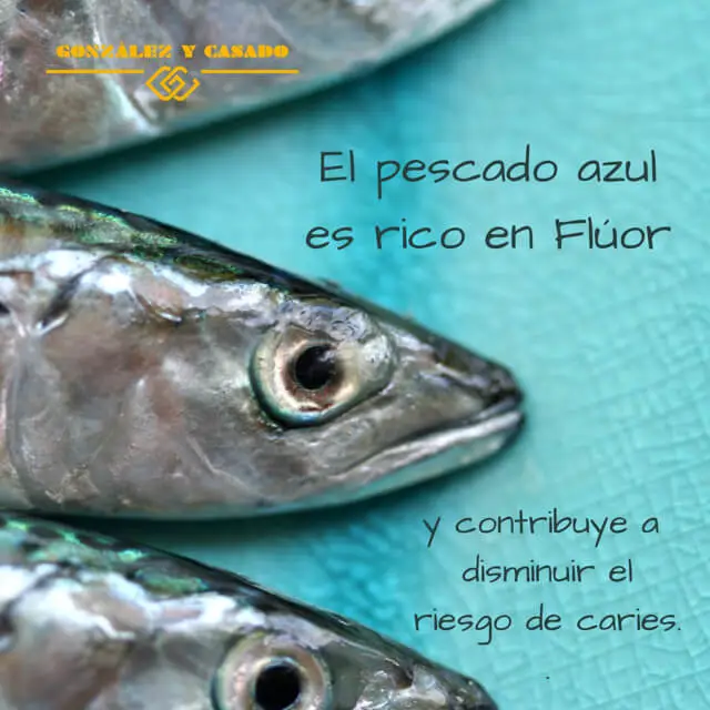 ¿Qué pescado no se debe comer?