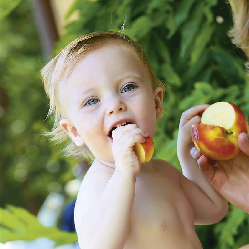 ¿Qué se le puede dar de comer a un bebé de 6 meses?