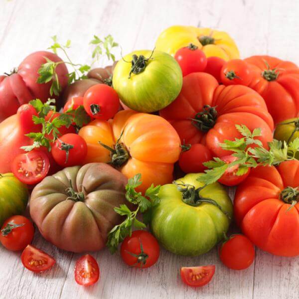 ¿Qué tipo de tomate es mejor?