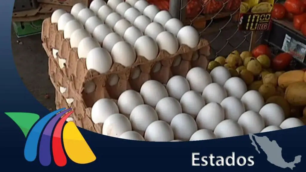 Descubre cuántos huevos contiene tu tapa favorita en un solo bocado