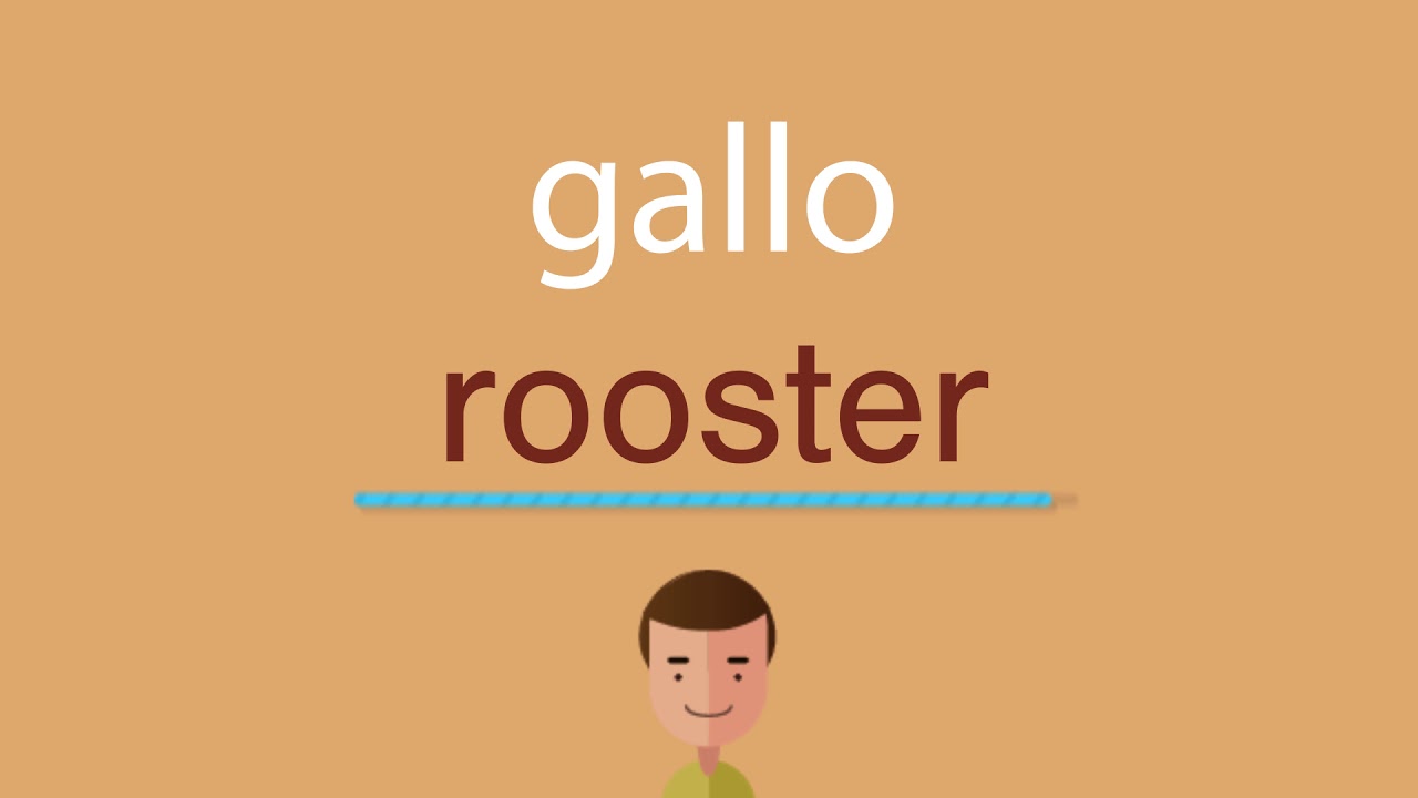 Aprende cómo decir 'gallo' en inglés en tan solo tres pasos