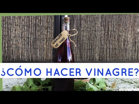 Paso a paso: Aprende a hacer vinagre de vino en Chile en casa