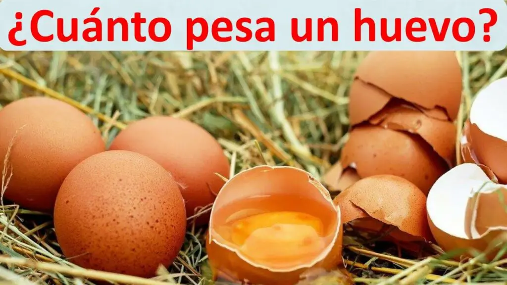 ¿Sabías cuántos gramos pesa un huevo? Descubre la respuesta aquí