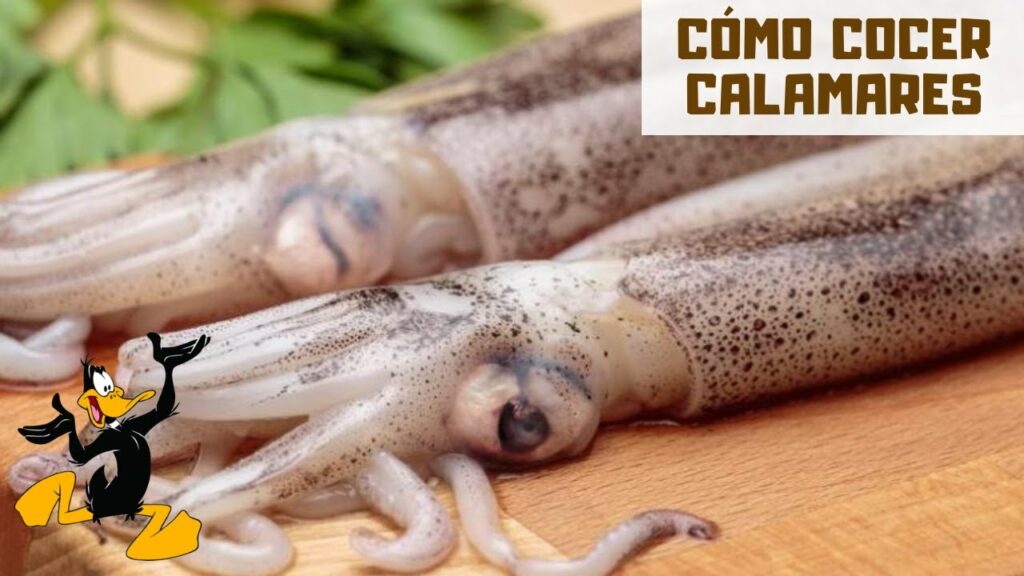 Descubre el secreto para una cocción perfecta del calamar en poco tiempo