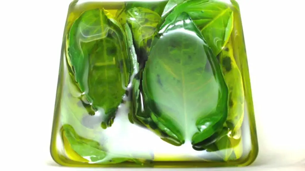 Descubre los increíbles beneficios de la albahaca con aceite de oliva en tu dieta