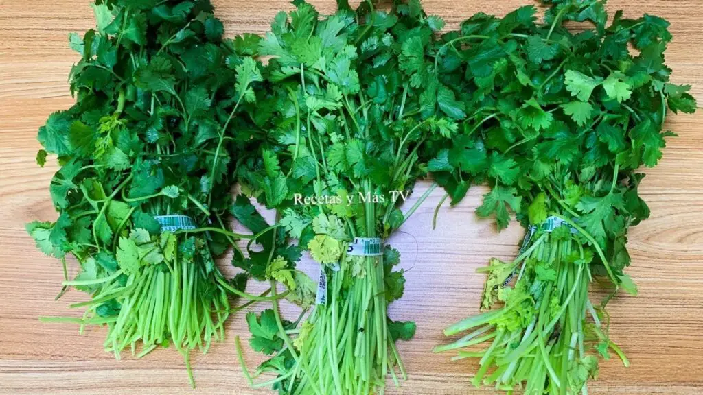 Secretos para conservar cilantro fresco por más tiempo