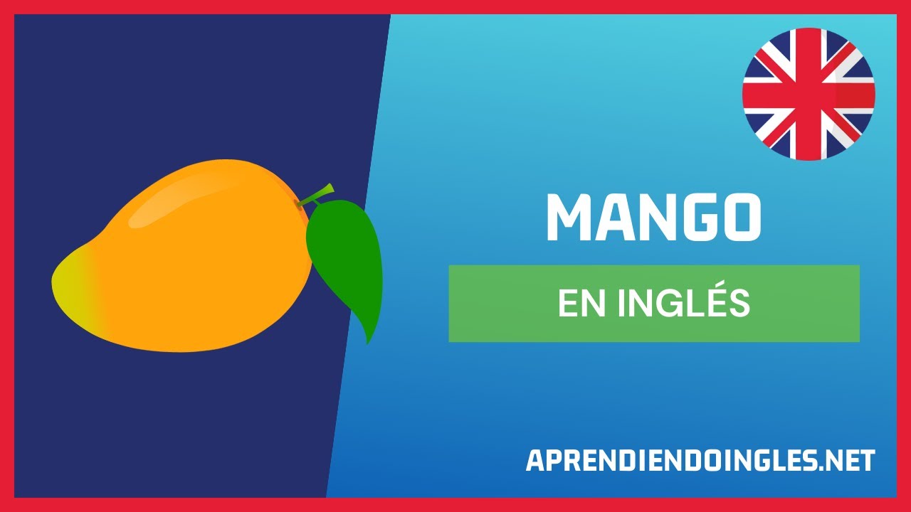 Aprende cómo se escribe mango correctamente en solo unos pasos Actualizado agosto 2024